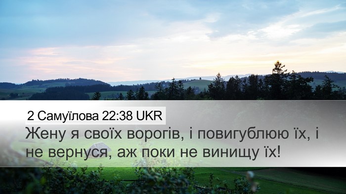 2 Самуїлова 22:38 UKR Desktop Wallpaper - Жену я своїх ворогів, і - Desktop Bible Verse Wallpaper