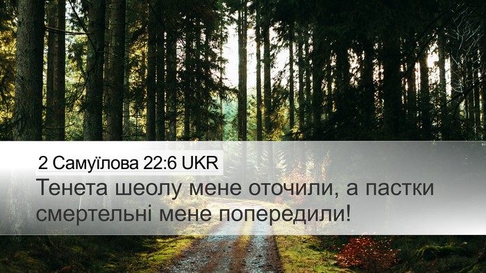 2 Самуїлова 22:6 UKR Desktop Wallpaper - Тенета шеолу мене оточили, - Desktop Bible Verse Wallpaper