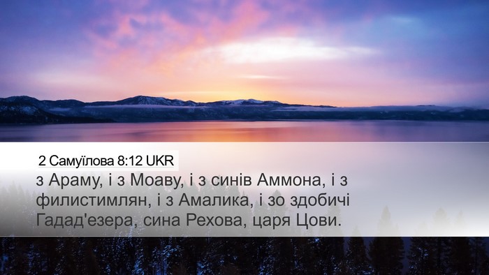 2 Самуїлова 8:12 UKR Bible Verse Image
