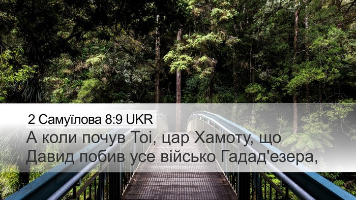 2 Самуїлова 8:9 UKR Bible Verse Image