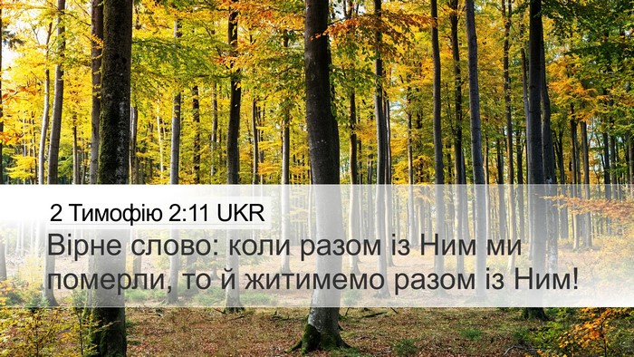 2 Тимофію 2:11 UKR Bible Verse Image