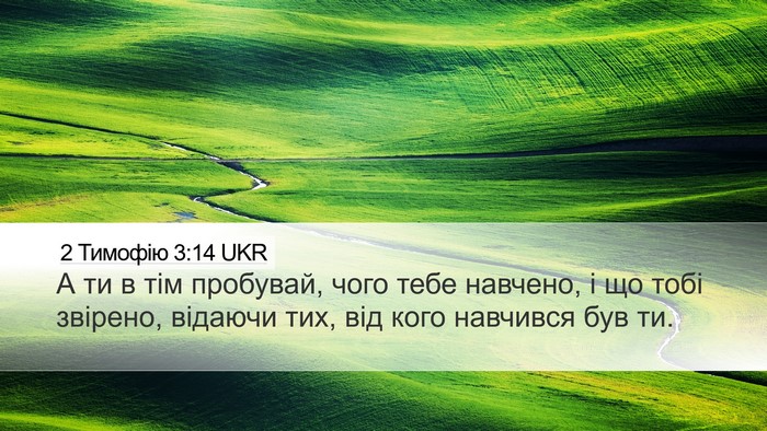 2 Тимофію 3:14 UKR Bible Verse Image