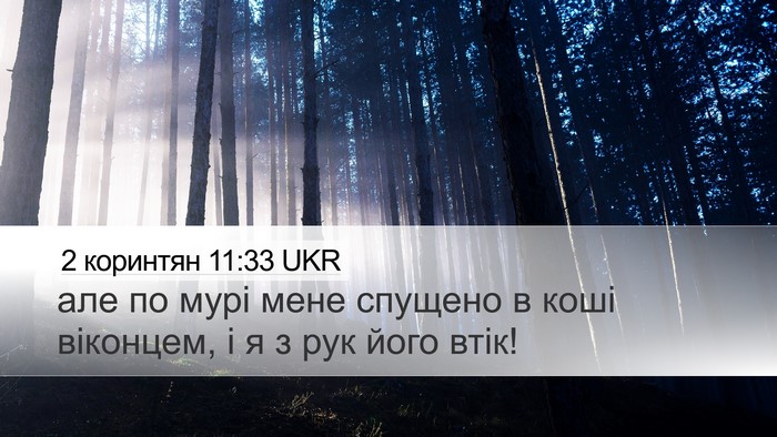 2 коринтян 11:33 UKR Bible Verse Image