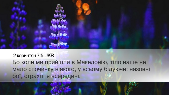 2 коринтян 7:5 UKR Bible Verse Image