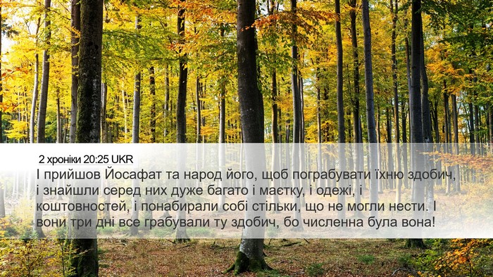 2 хроніки 20:25 UKR Bible Verse Image
