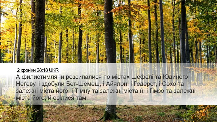 2 хроніки 28:18 UKR Bible Verse Image
