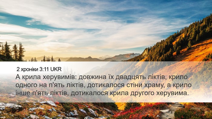 2 хроніки 3:11 UKR Desktop Wallpaper - А крила херувимів: довжина - Desktop Bible Verse Wallpaper