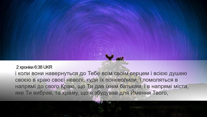 2 хроніки 6:38 UKR Bible Verse Image