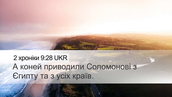 2 хроніки 9:28 UKR Desktop Wallpaper - А коней приводили - Desktop Bible Verse Wallpaper