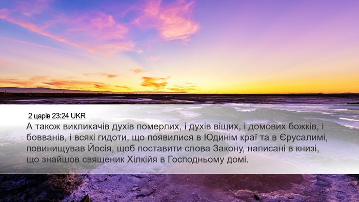 2 царів 23:24 UKR Bible Verse Image