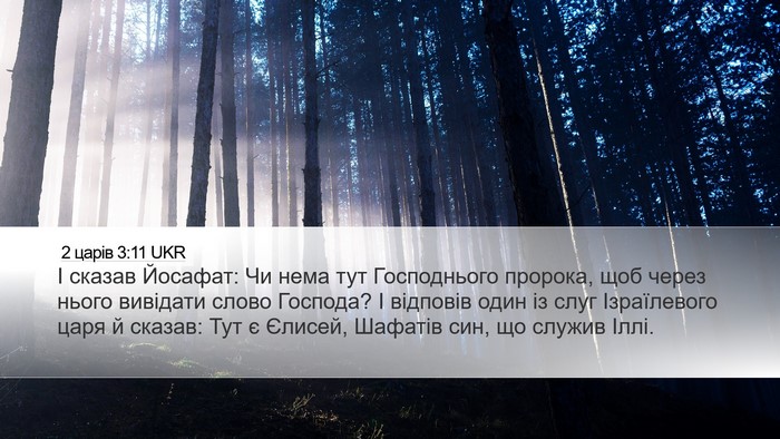 2 царів 3:11 UKR Bible Verse Image