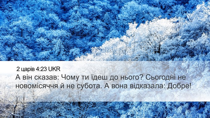 2 царів 4:23 UKR Bible Verse Image
