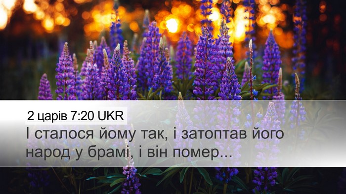 2 царів 7:20 UKR Desktop Wallpaper - І сталося йому так, і - Desktop Bible Verse Wallpaper