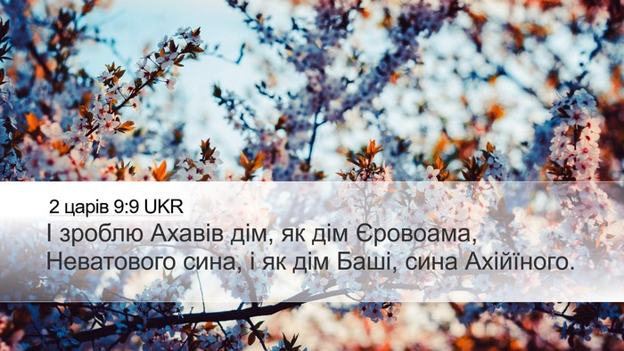 2 царів 9:9 UKR Desktop Wallpaper - І зроблю Ахавів дім, як дім - Desktop Bible Verse Wallpaper