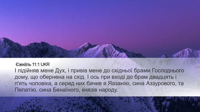 Єзекіїль 11:1 UKR Desktop Wallpaper - І підійняв мене Дух, і - Desktop Bible Verse Wallpaper