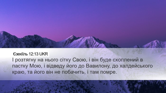 Єзекіїль 12:13 UKR Bible Verse Image