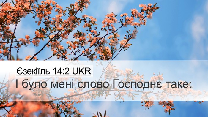 Єзекіїль 14:2 UKR Bible Verse Image