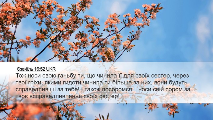 Єзекіїль 16:52 UKR Bible Verse Image