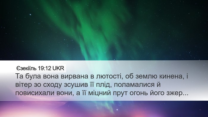 Єзекіїль 19:12 UKR Bible Verse Image