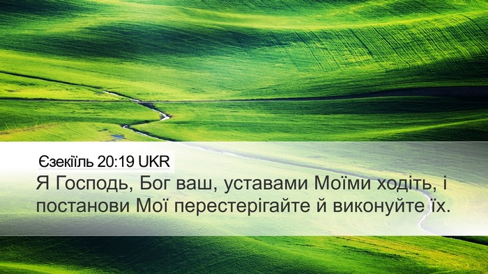 Єзекіїль 20:19 UKR Bible Verse Image
