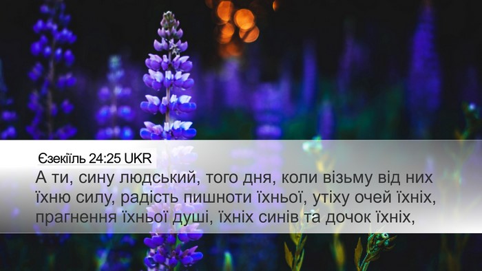 Єзекіїль 24:25 UKR Bible Verse Image
