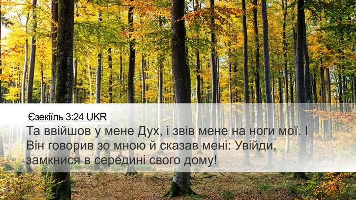Єзекіїль 3:24 UKR Bible Verse Image