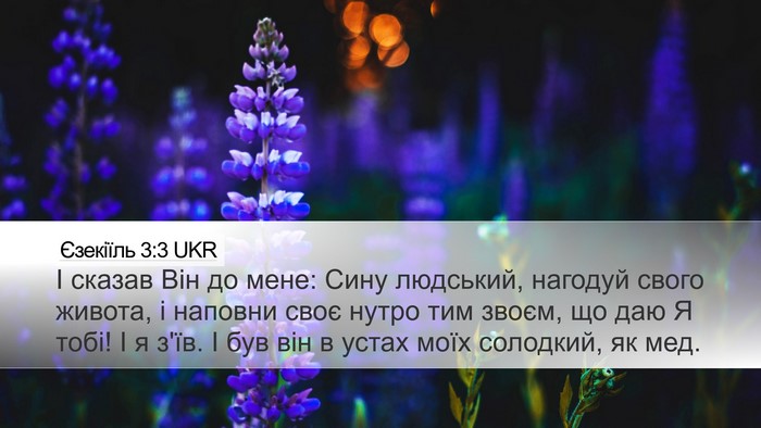 Єзекіїль 3:3 UKR Bible Verse Image