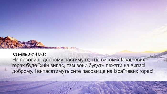 Єзекіїль 34:14 UKR Bible Verse Image