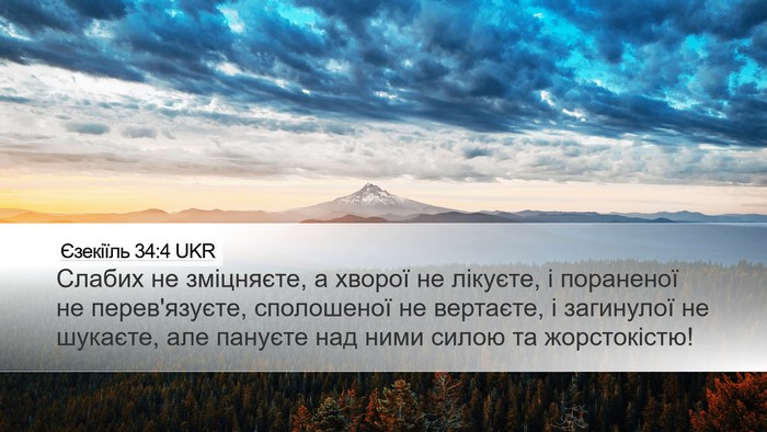 Єзекіїль 34:4 UKR Bible Verse Image