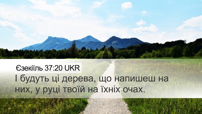 Єзекіїль 37:20 UKR Bible Verse Image