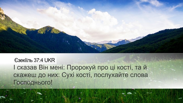 Єзекіїль 37:4 UKR Bible Verse Image