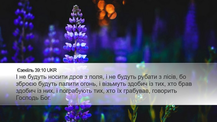 Єзекіїль 39:10 UKR Bible Verse Image