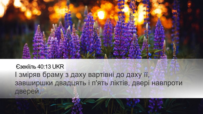 Єзекіїль 40:13 UKR Desktop Wallpaper - І зміряв браму з даху - Desktop Bible Verse Wallpaper