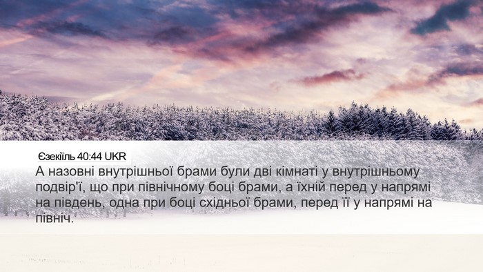 Єзекіїль 40:44 UKR Bible Verse Image