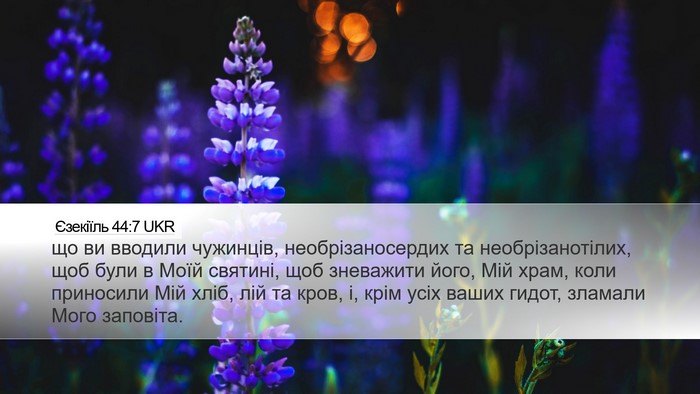 Єзекіїль 44:7 UKR Bible Verse Image