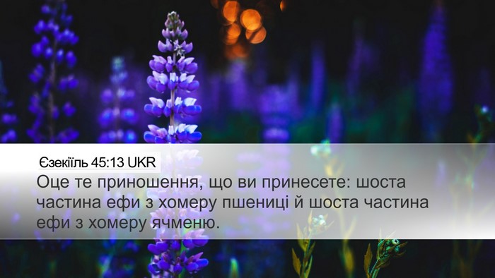 Єзекіїль 45:13 UKR Desktop Wallpaper - Оце те приношення, що ви - Desktop Bible Verse Wallpaper