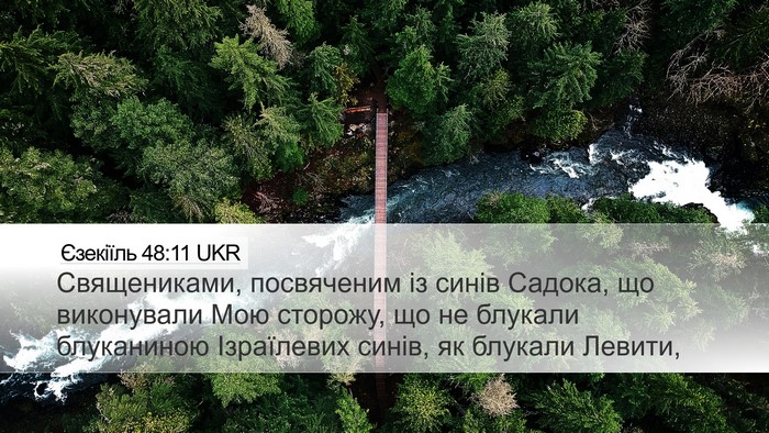 Єзекіїль 48:11 UKR Bible Verse Image