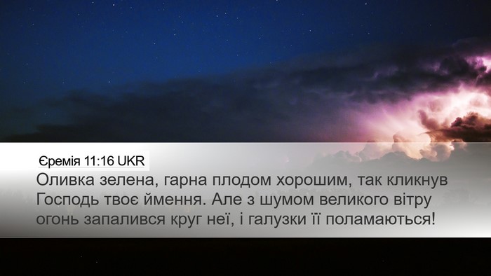 Єремія 11:16 UKR Bible Verse Image