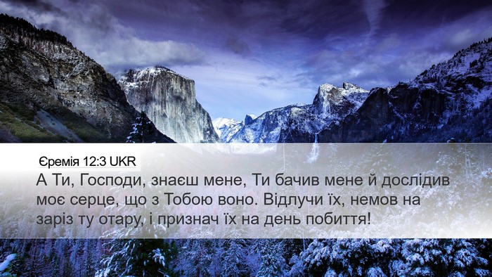 Єремія 12:3 UKR Bible Verse Image
