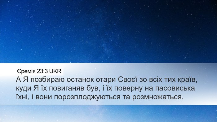 Єремія 23:3 UKR Desktop Wallpaper - А Я позбираю останок отари - Desktop Bible Verse Wallpaper
