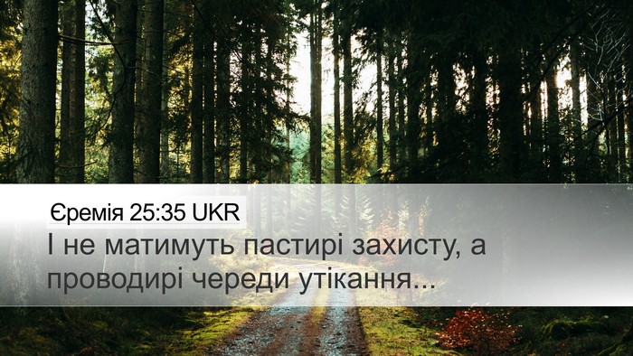 Єремія 25:35 UKR Bible Verse Image