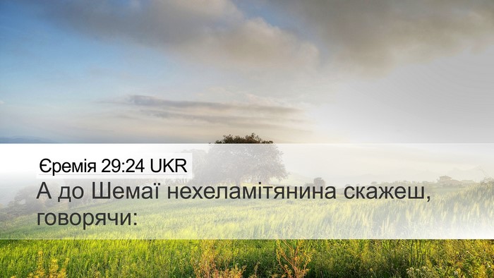 Єремія 29:24 UKR Bible Verse Image