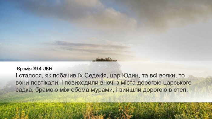 Єремія 39:4 UKR Bible Verse Image