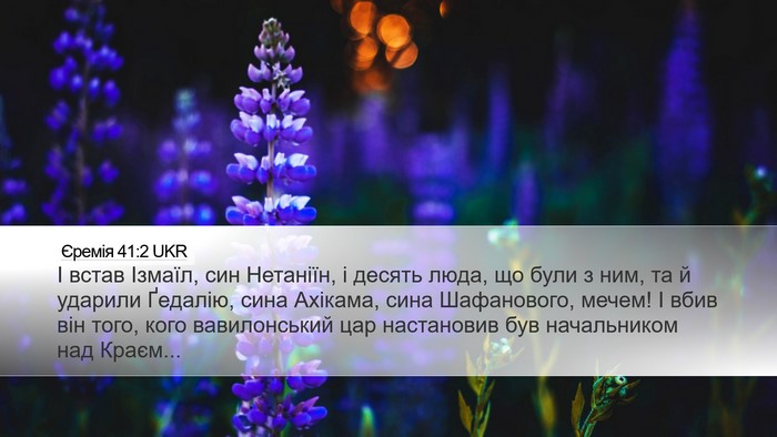 Єремія 41:2 UKR Bible Verse Image
