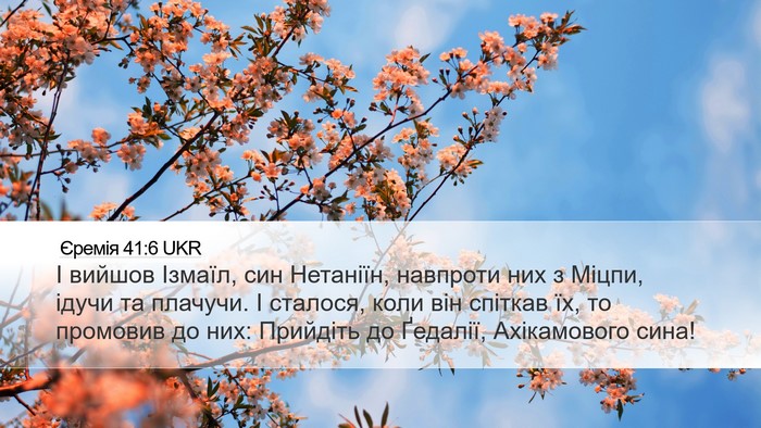 Єремія 41:6 UKR Bible Verse Image