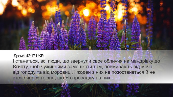 Єремія 42:17 UKR Bible Verse Image