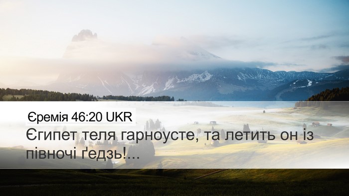 Єремія 46:20 UKR Bible Verse Image
