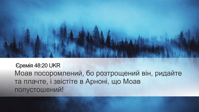 Єремія 48:20 UKR Bible Verse Image