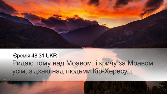 Єремія 48:31 UKR Bible Verse Image