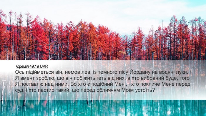 Єремія 49:19 UKR Bible Verse Image